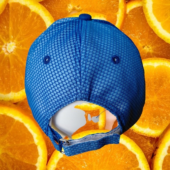 Chewy Blue Mesh Trucker Hat Baseball Cap Adjustable Men - Picture 3 of 5